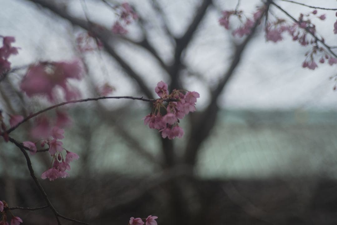 ライカ TELE-ELMARIT 90mm F2.8 製