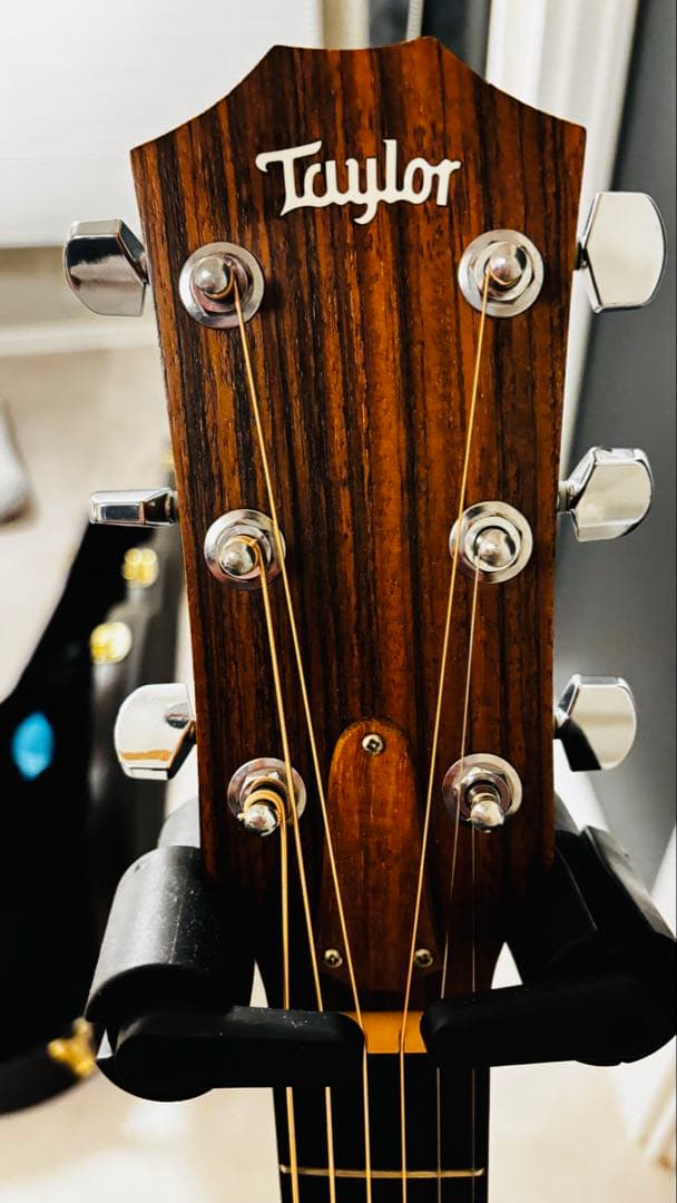 214ce DLX ES【Taylor】 アコースティックギター