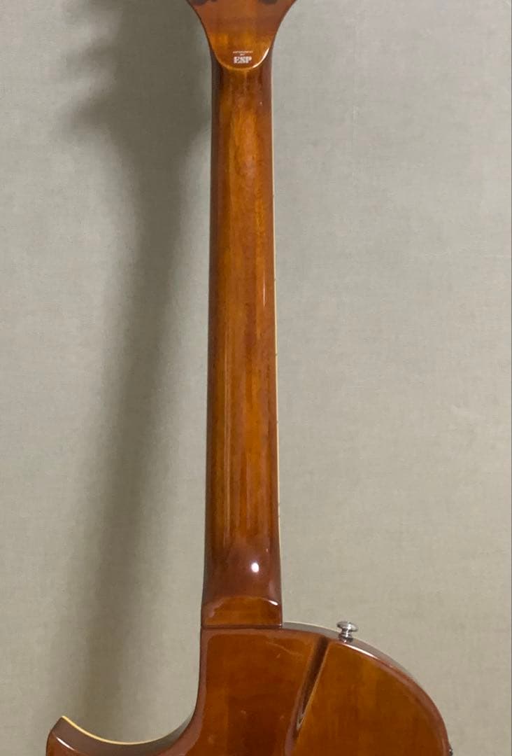 LTD (ESP) TL-6 ソリッドエレアコ