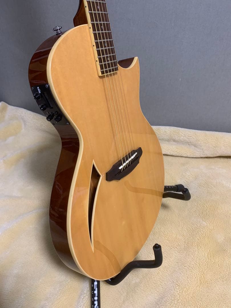 LTD (ESP) TL-6 ソリッドエレアコ