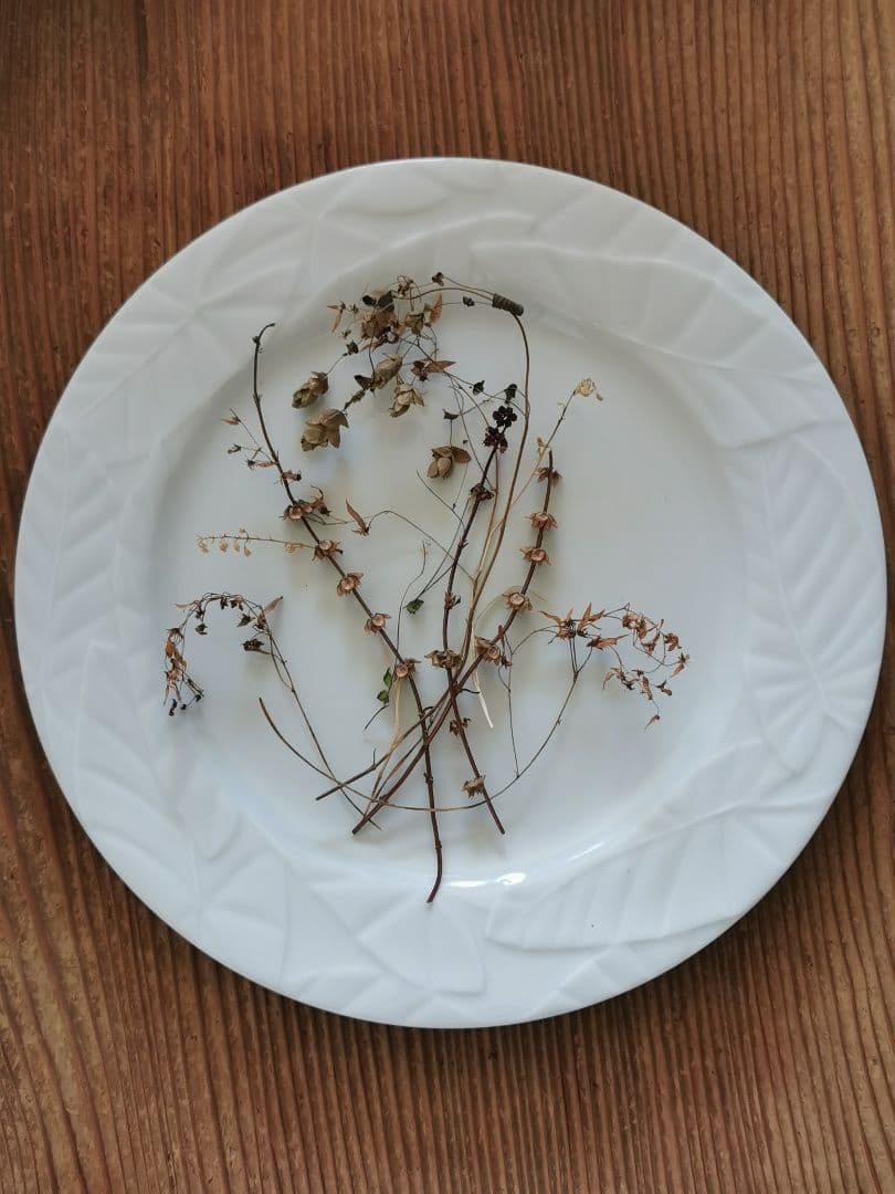 アンティーク/ヴィンテージ 仏リモージュ リーフレリーフ 30㎝ディナープレート