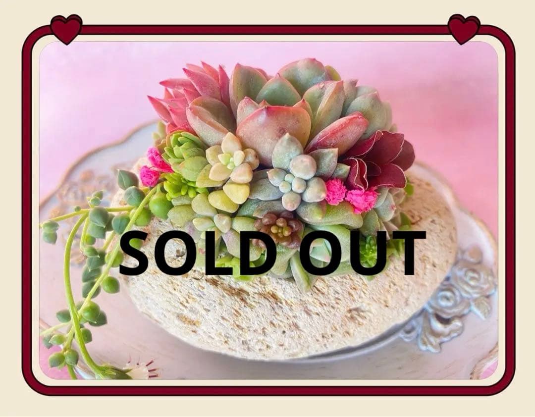 軽石寄せ植え✿そのまま飾れます