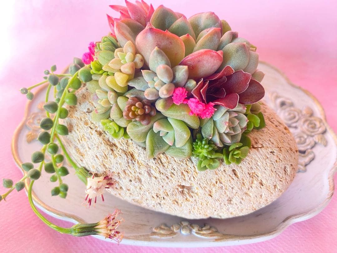 軽石寄せ植え✿そのまま飾れます