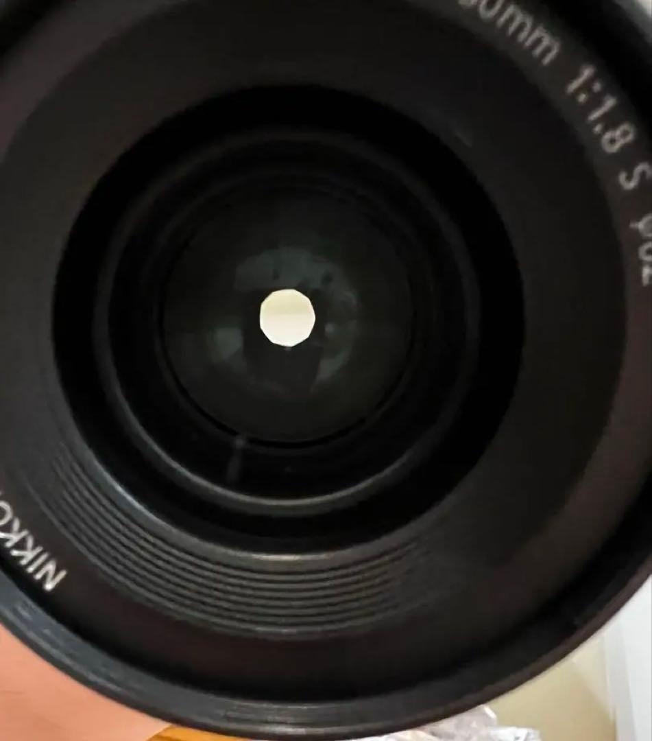 Neko Gazer NIKKOR Z 50mm f/1.8 S レンズ