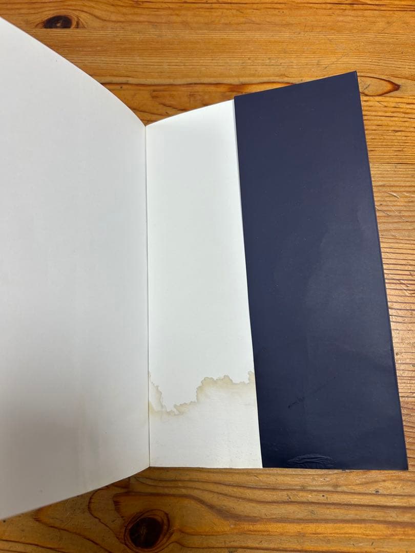 李鹏 六四日記真相　天安門事件　中国語