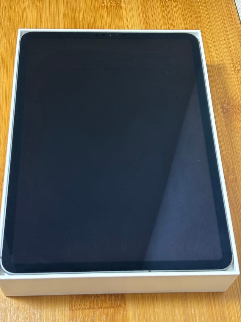 iPad Pro (第2世代) 11インチ 256GB Cellular