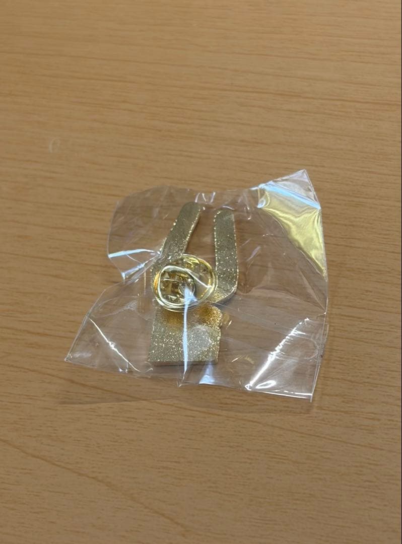 大阪関西万博2025 ドミニカ共和国ピンバッジ