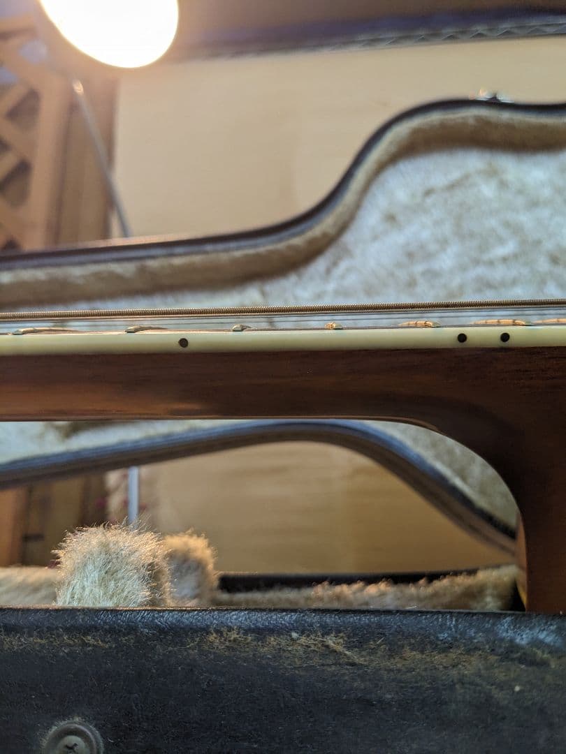 アコースティックギター モーリスMV-701 スプルースボディ ケース付き