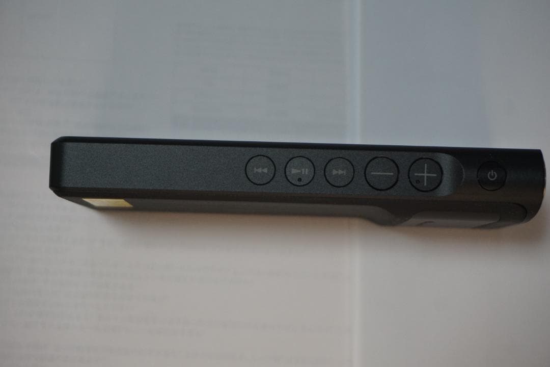 SONY NW-WM1AM2 デジタルオーディオプレーヤー