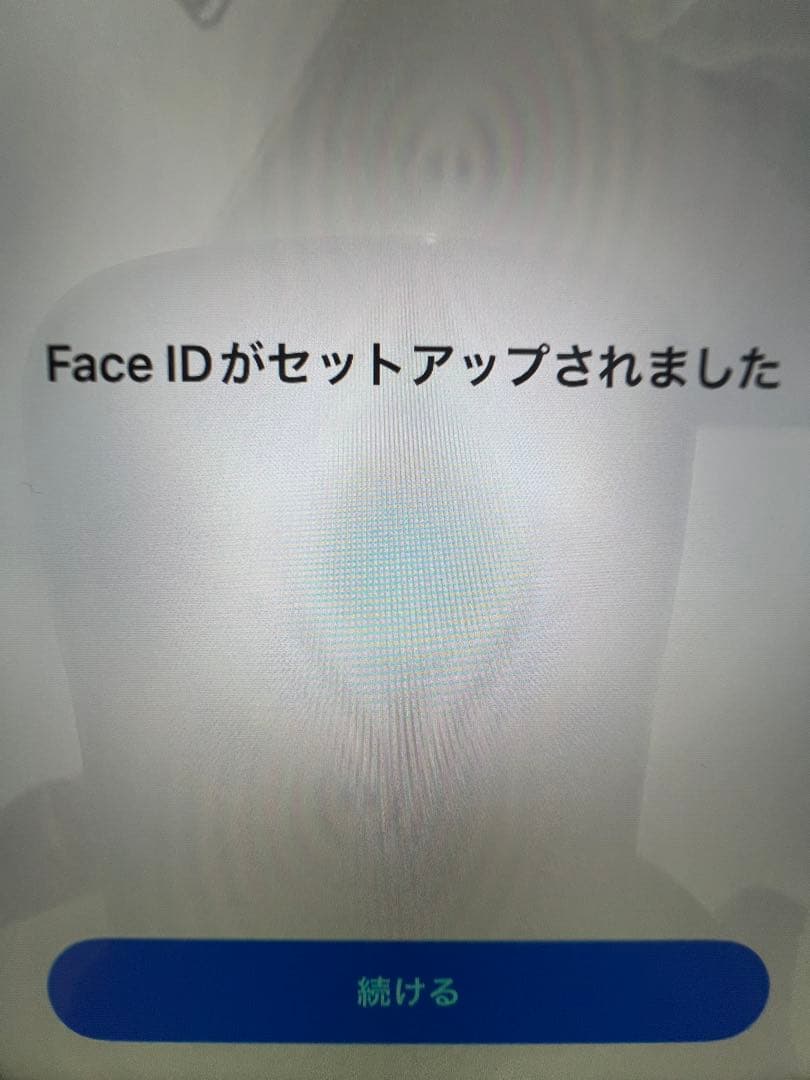 Apple iPhone11 本体 背面割れ ジャンク