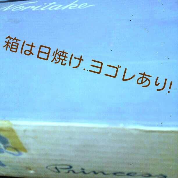 昭和レトロ☆ノリタケ プリンセスシリーズ第二弾21㎝大皿５枚☆美智子さまイメージ