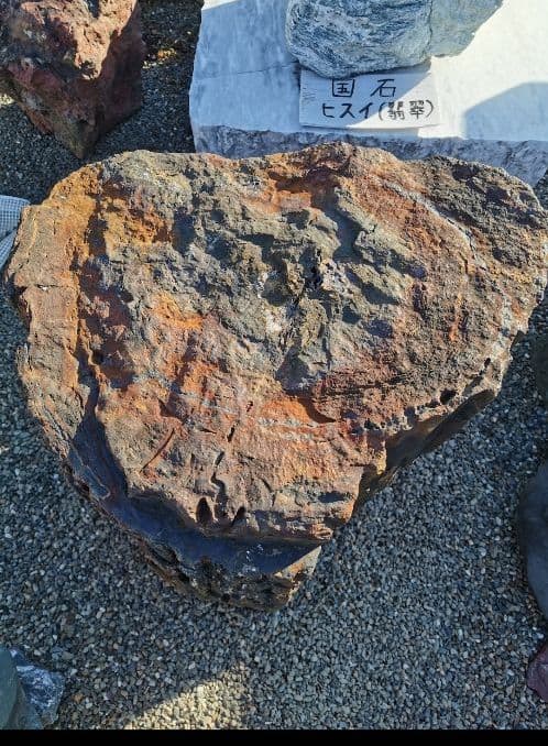 秋田産　珪化木　370キロ　木化石　庭石　鑑賞石　石　置物　オブジェ　インテリア