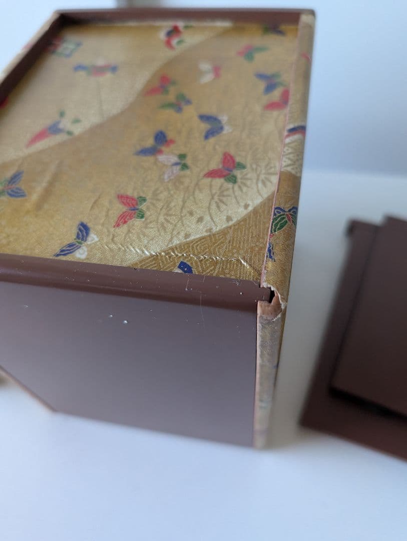 【レア】遊山箱　蝶々　絵入り
