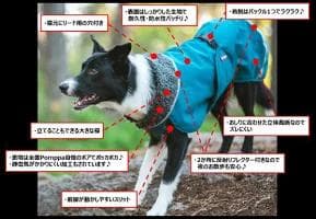 ポムッパ　ペルス　ペトロール　サイズ65