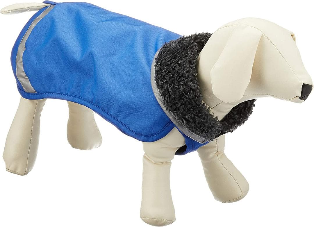 ポムッパ　ペルス　ペトロール　サイズ65