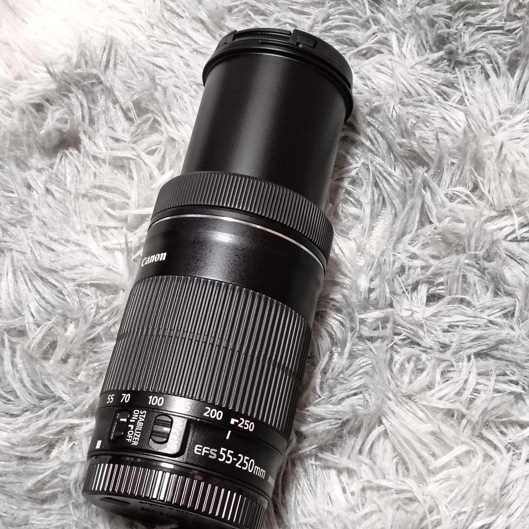 Canon EF-S55-250mm F4-5.6 IS STM 望遠レンズ