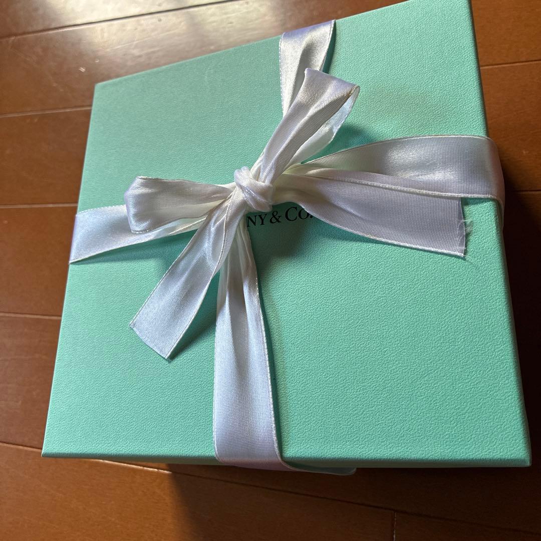 新品未使用Tiffany & Co. ボウル 2個セット