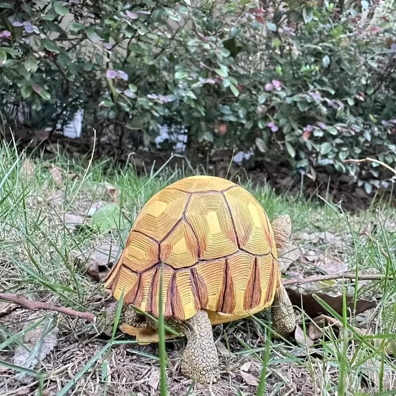 ヘサキリクガメ 10cm×7.3ｃｍ　クモノスガメ属 フィギュア リクガメ