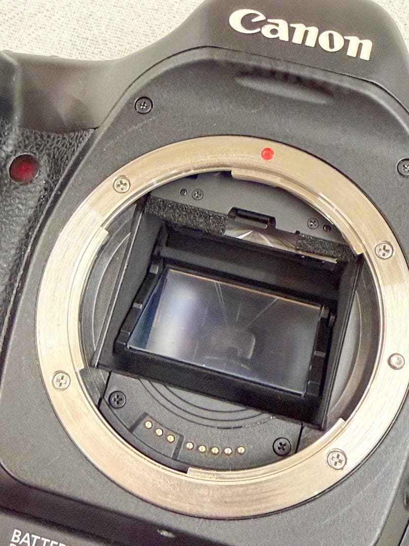 Canon EOS 5D バッテリーグリップ バッテリー２個セット