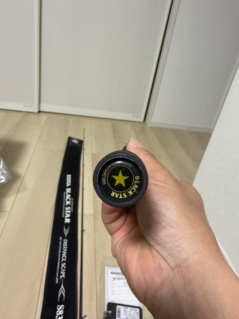 ゼスタ　ブラックスターセカンドジェネレーション　S83 ディスタンススケープ