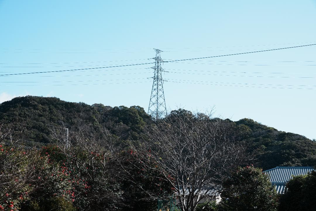 【テスト済安心】SONY SEL2470GM ソニー大三元ズーム 完品 F2.8