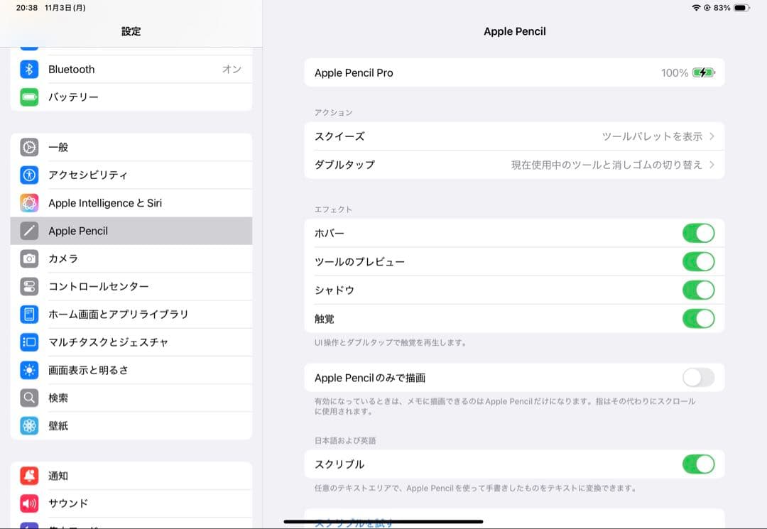iPad Pro M4 11インチ 256GB Apple pencil Pro
