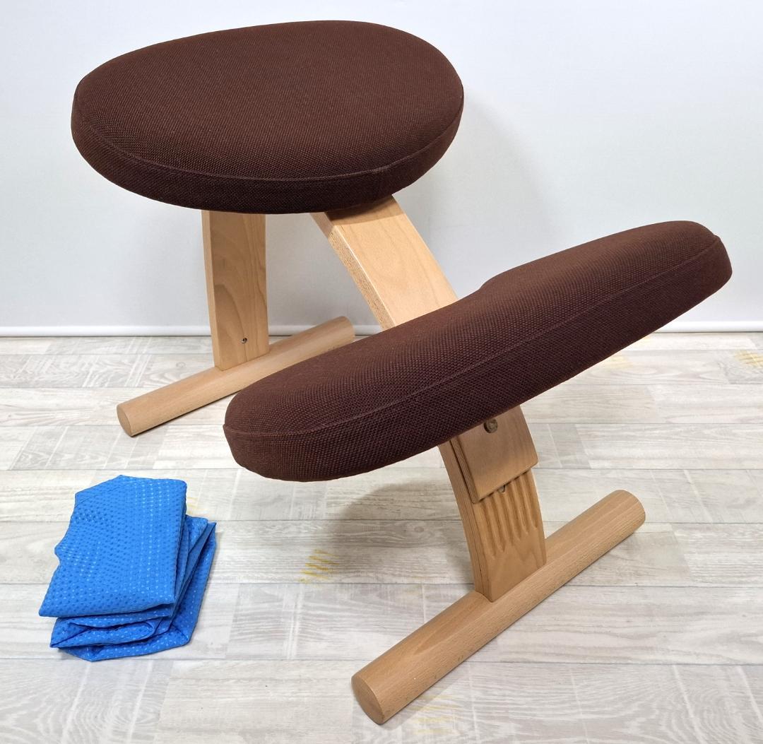 美品！★サカモトハウス★バランスチェア バランスイージー★専用カバー付★リボ社