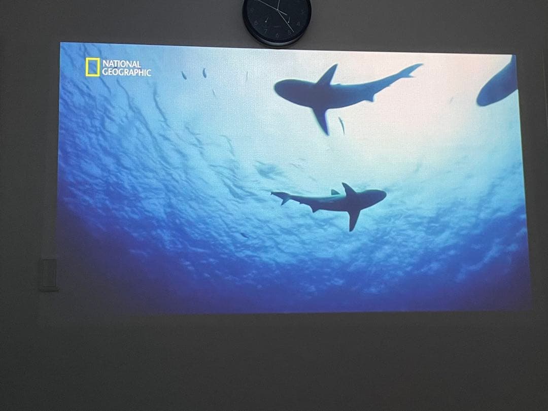 popIn Aladdin2 プロジェクター ドッド抜けなし