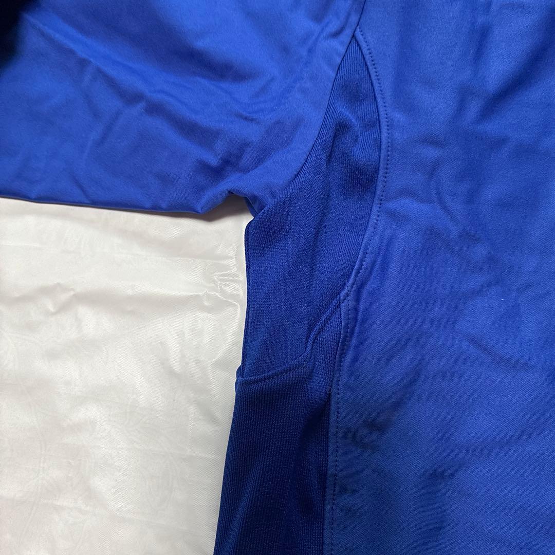 デサント　ウィンドブレーカー　日本ウェルネススポーツ大学　Lサイズ　ISHII入