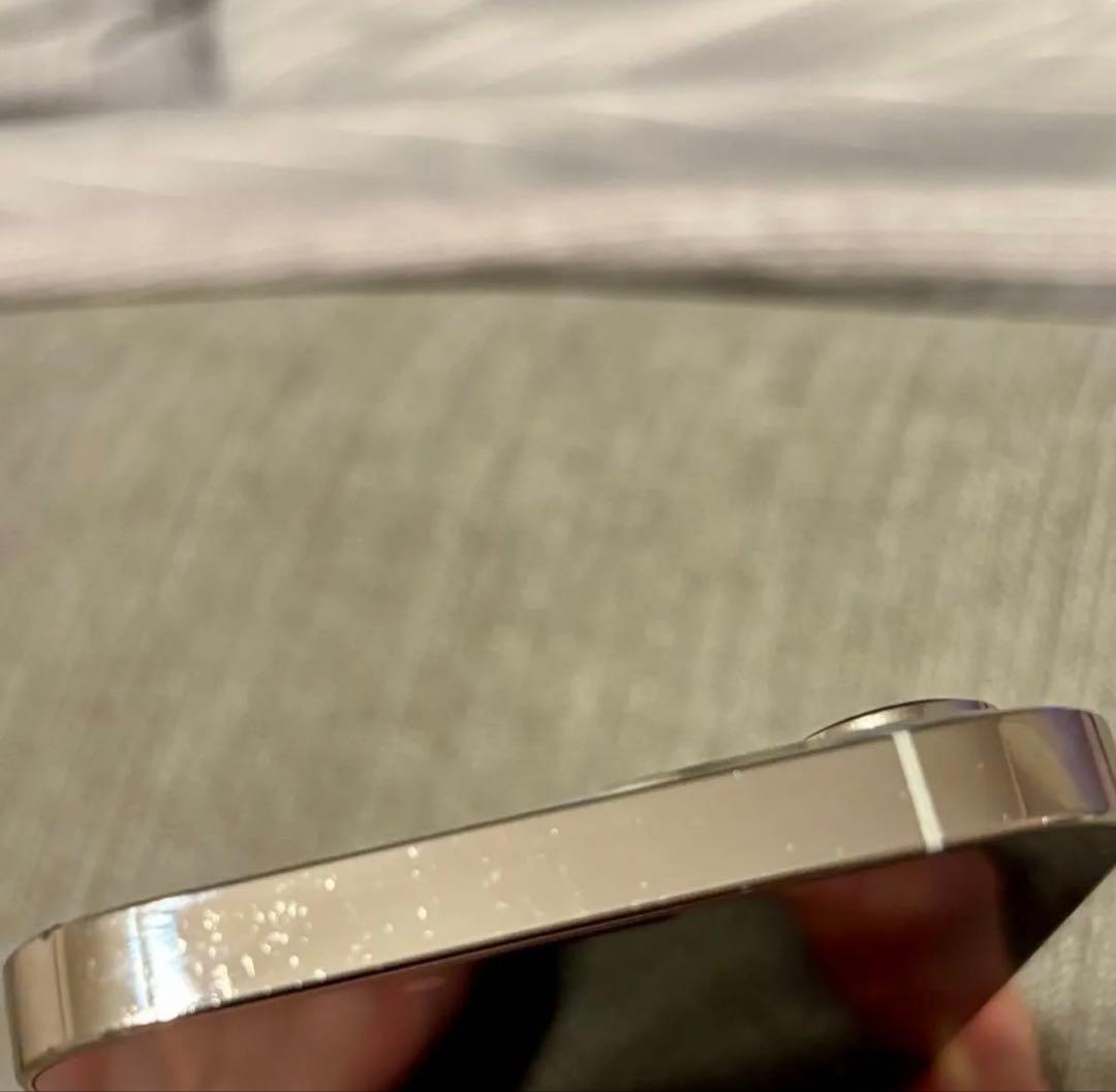 Apple iPhone 13 Pro シルバー 箱付き