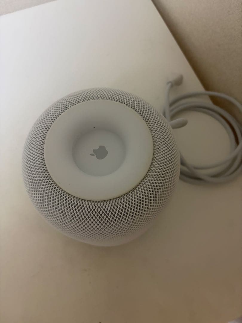 Apple Pod 第1世代(ホワイト)