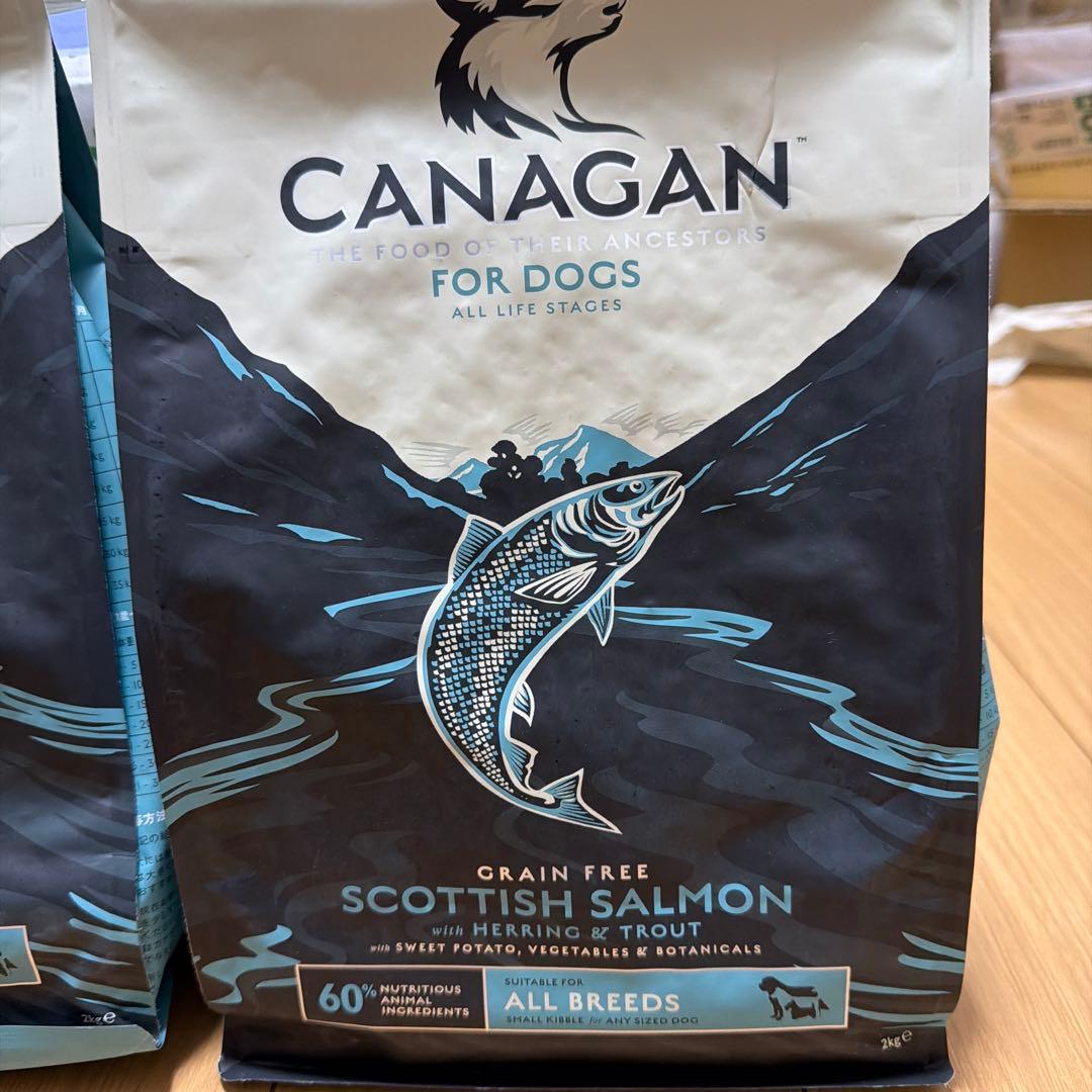 CANAGAN スコティッシュサーモン 2kg グレインフリー 2袋
