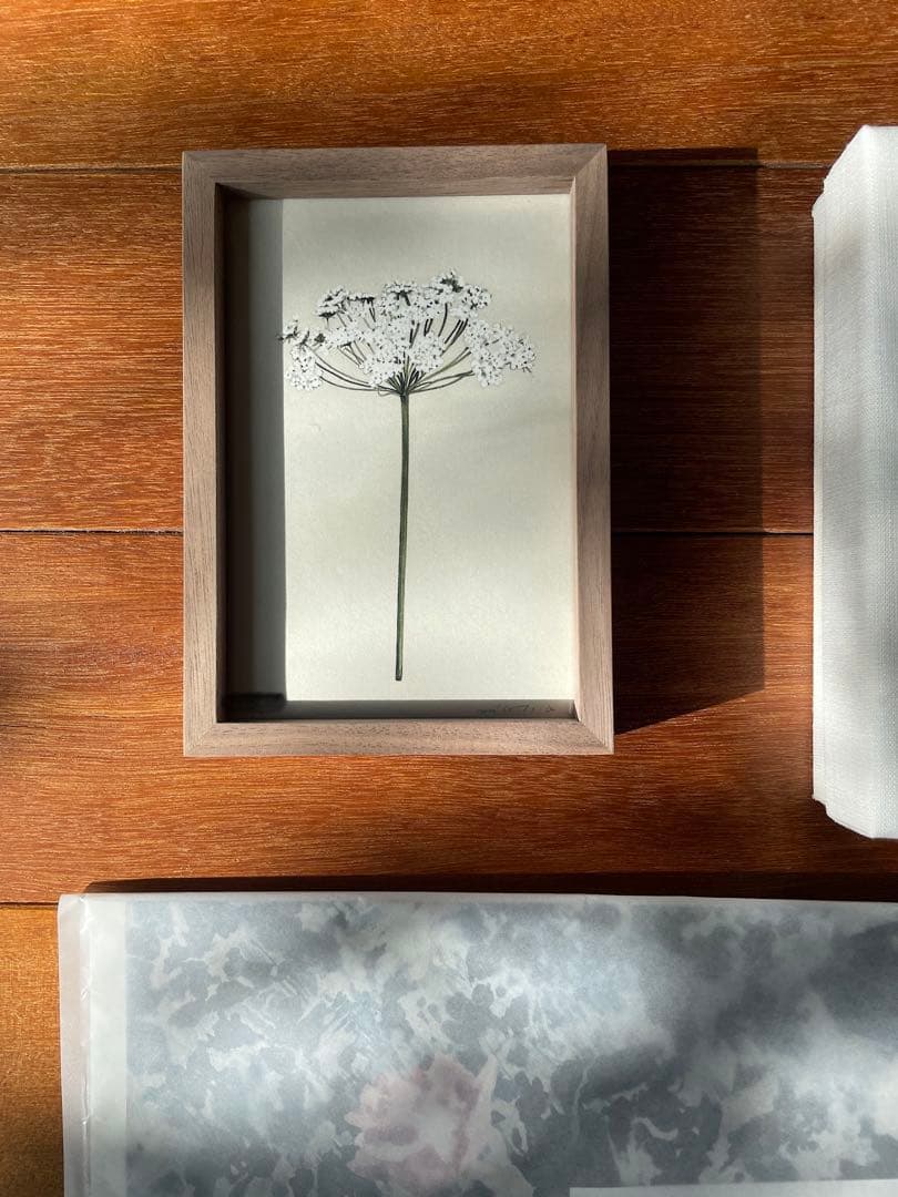 荻原美里　postcard_BOX &「レースフラワー」ジクレー