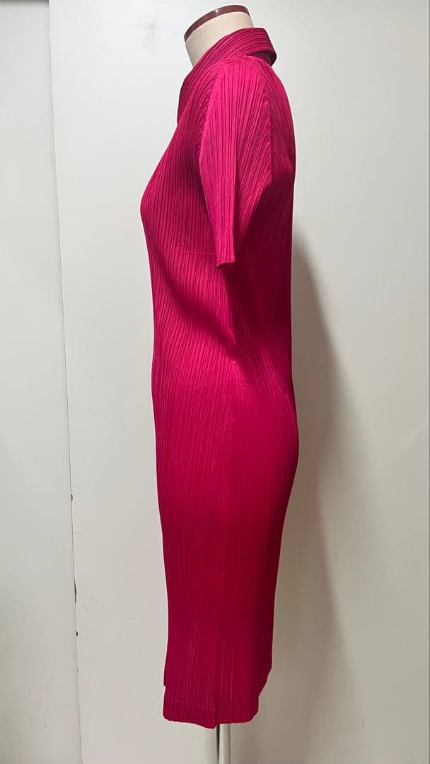 プリーツプリーズ