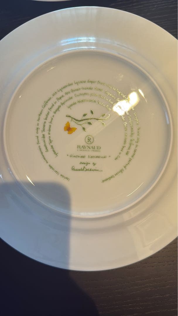 Raynaud ヒストリーナチュール　皿２枚セット