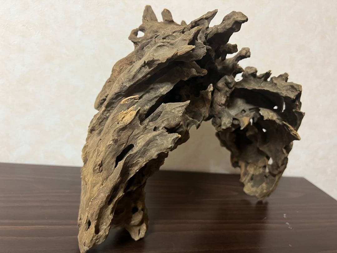 XM-321 流木マシンガンウッド　ブランチウッド　アクアリウム　沈水確認済