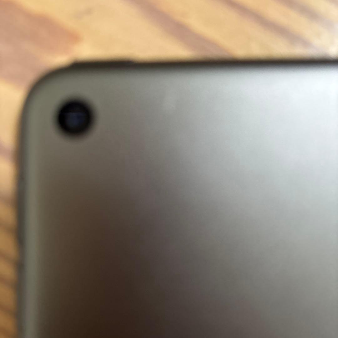 iPad mini 5 グレー　64GB 本体 フィルムおまけ付き