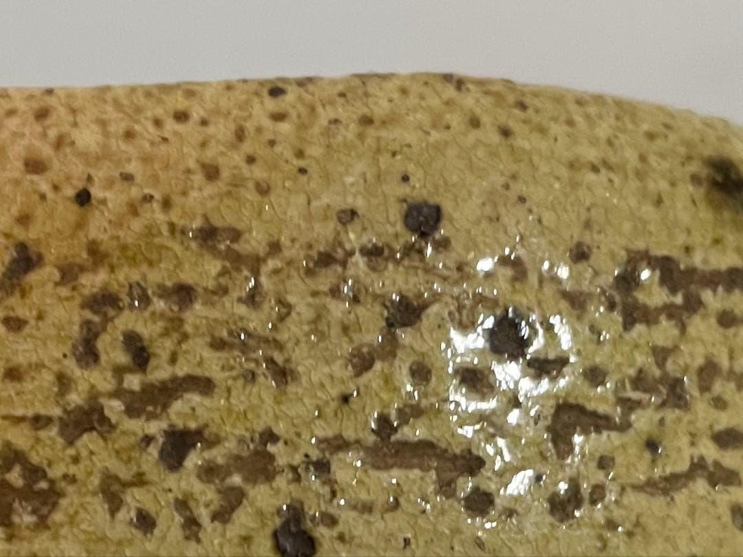 茶道具　陶芸家　九代　樂吉左衛門　樂了入　掛分黒楽茶碗　片身替　茶碗