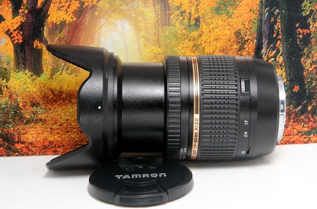 ❤手ぶれ補正&明るく撮れる♪タムロン17-50mm VC E005 キヤノン用❤