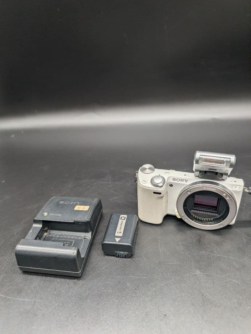 SONY α NEX-5R ミラーレスカメラ 本体