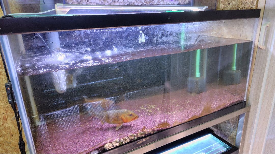 ｍiyaｋama　90ガラス水槽2台　スチール水槽台　上部フィルター