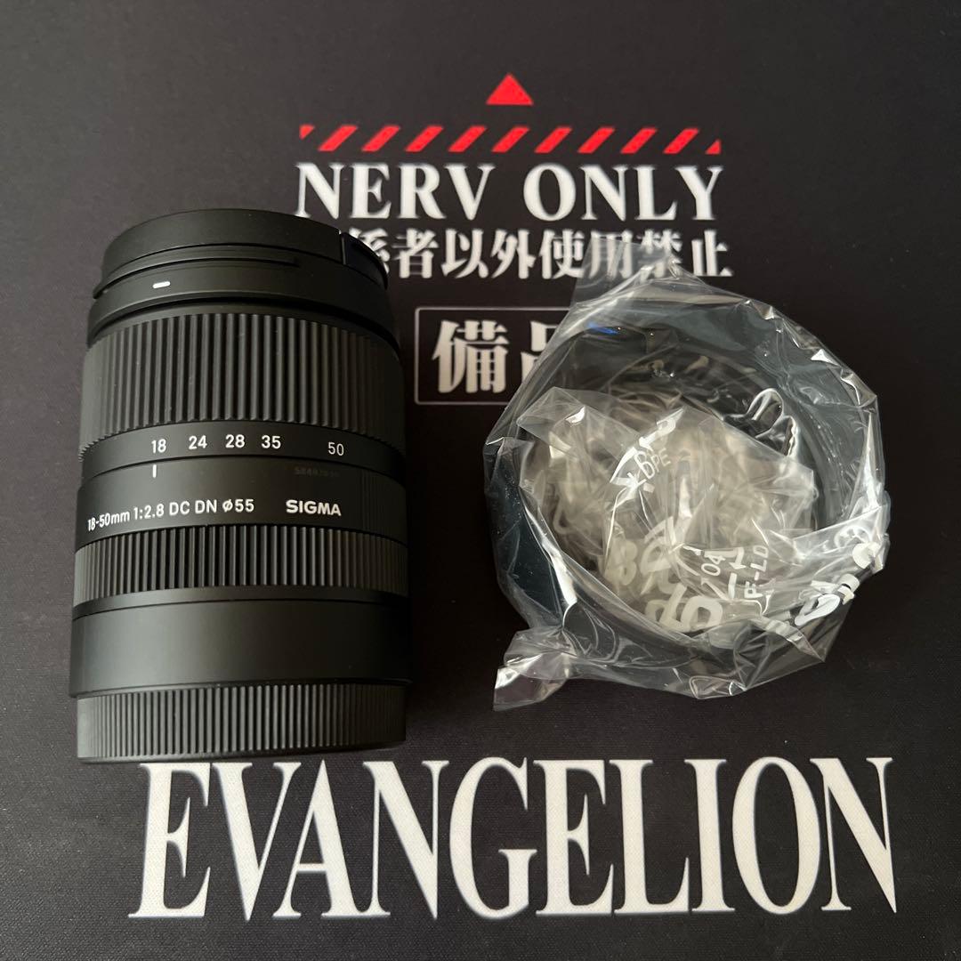 Eマウント SIGMA 18-50mm F2.8 DC DN ズームレンズ