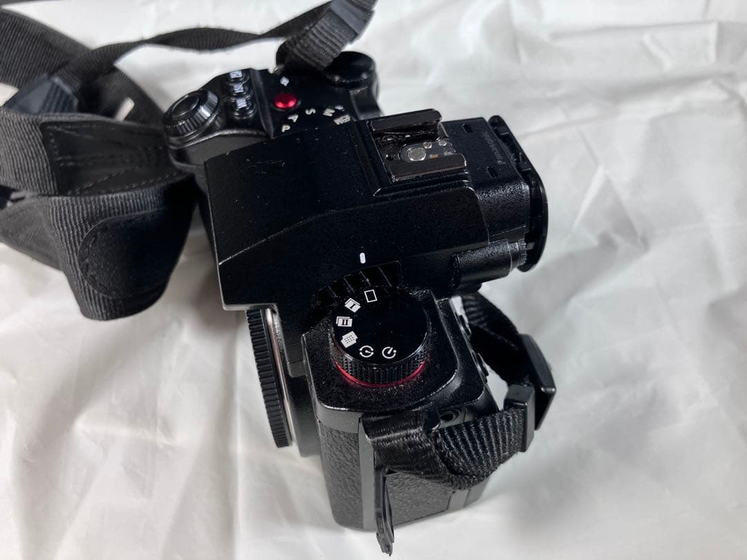 LUMIX ミラーレス一眼カメラ 本体と付属品