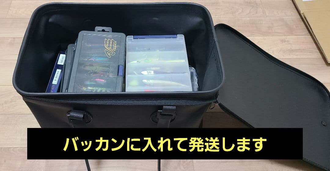 ソルトルアーセット