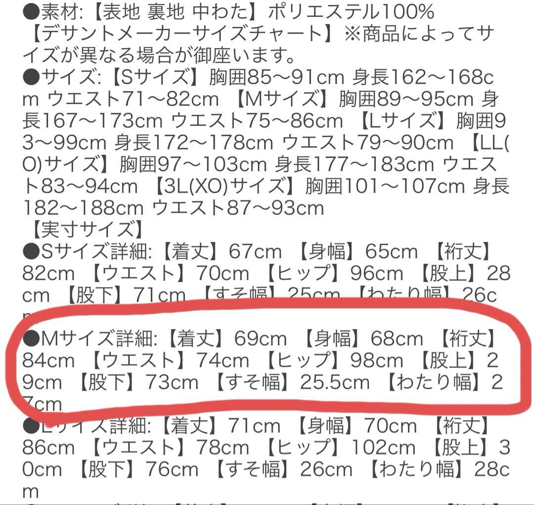 DESCENTE デサント　スキーウェア　Mサイズ