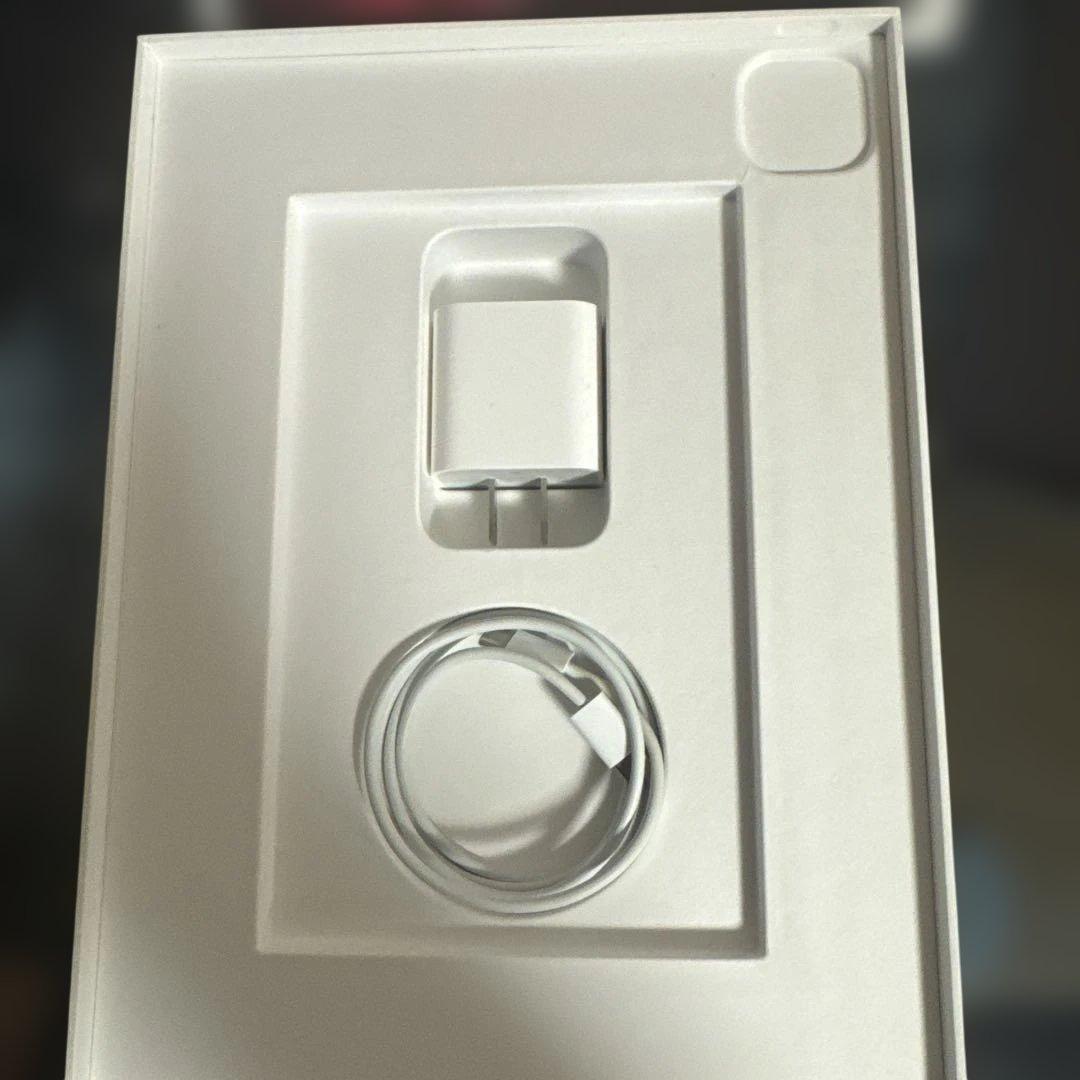 iPad Pro (11インチ) 第3世代 128GB スペースグレイ