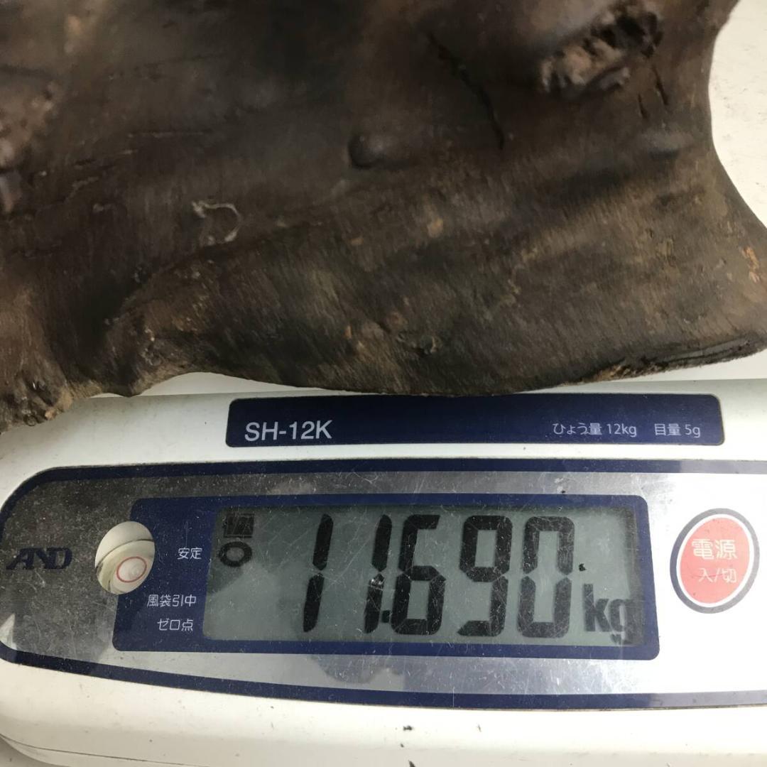 天然木 瘤 約11.7kg 自然木 瘤木 鑑賞木 オブジェ 花器 花瓶 花生