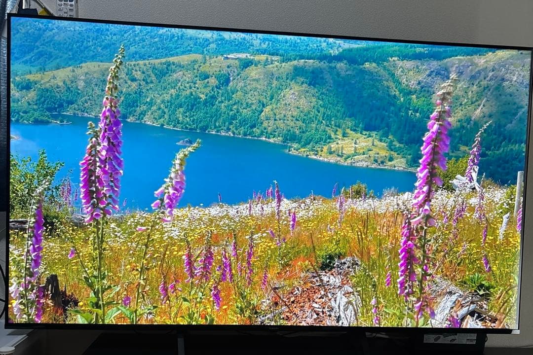 雅*翔様 送料込み　Xiaomi TV a pro 65 チューナーレステレビ