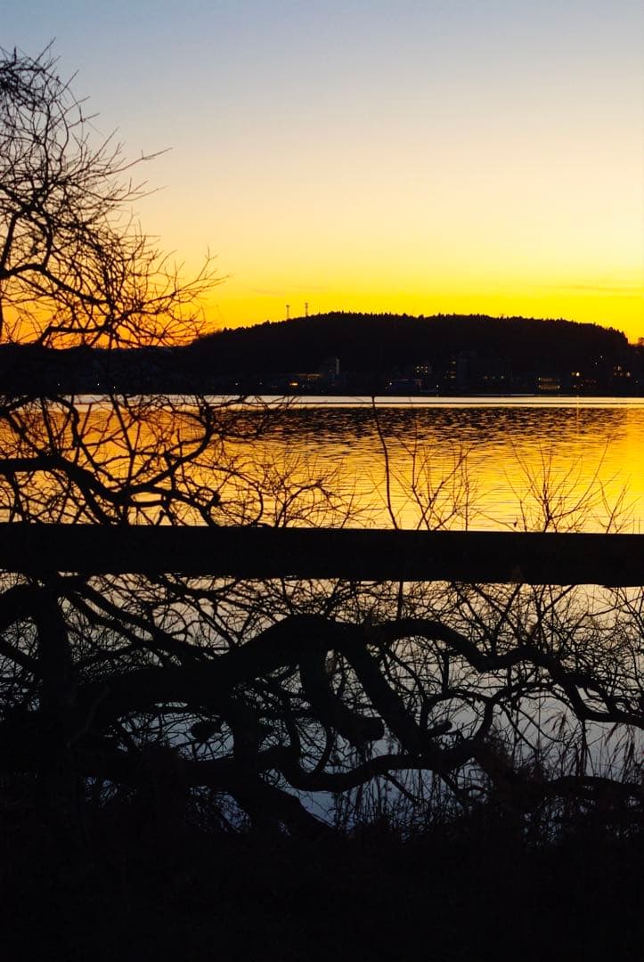 PENTAX SMC DA 50mm f/1.8 単焦点レンズ