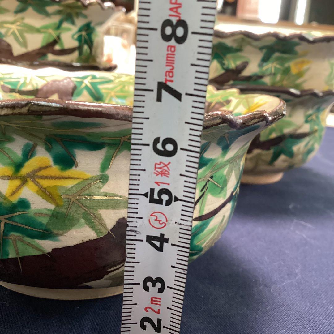 京焼乾山写新緑紅葉向付10客　　新品未使用　　夏の器
